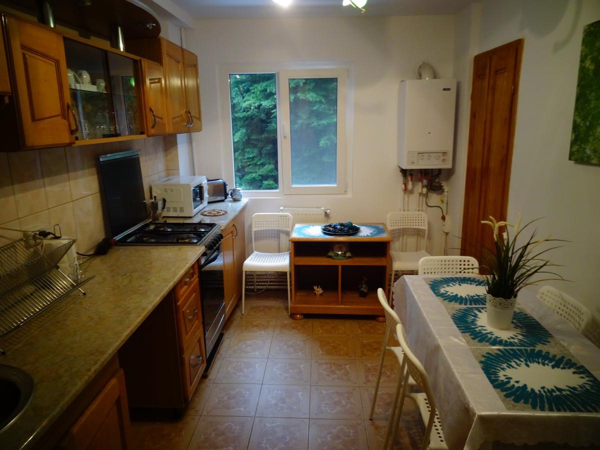 Apartament Cu Doua Camere Slănic-Moldova Exteriér fotografie